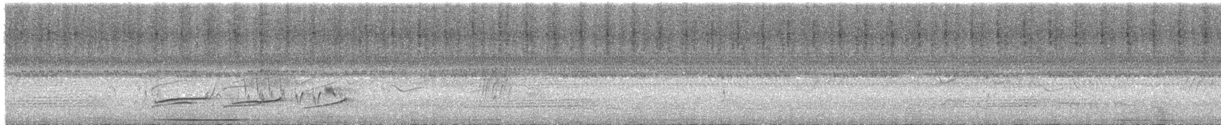Тиран-крихітка світлогорлий - ML613434072