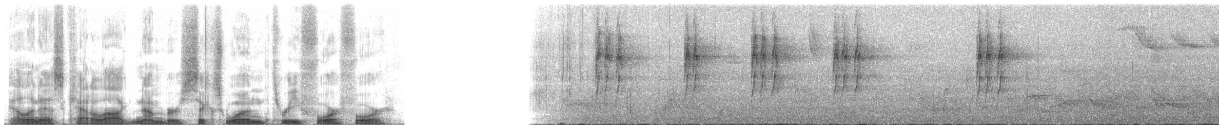 Pallid Spinetail - ML61344