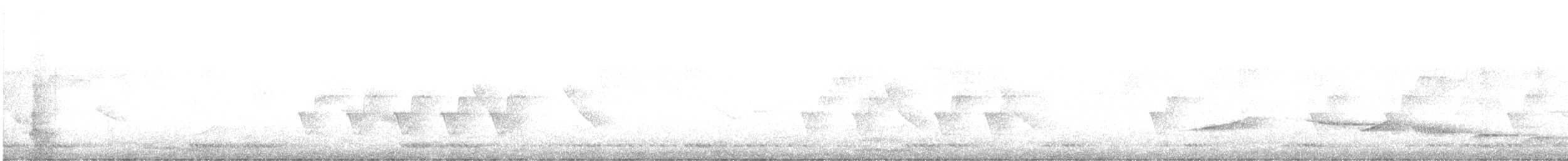 White-rumped Shama - ML613442010