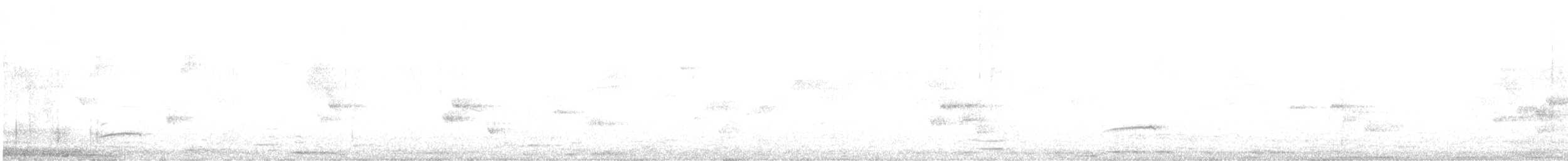 Tawny-bellied Babbler - ML613442845