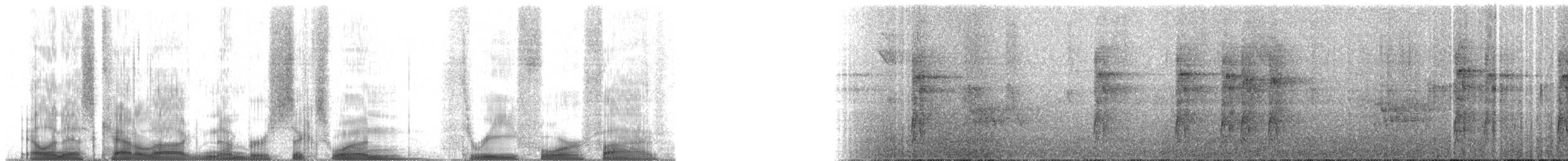 Saffron Toucanet - ML61345