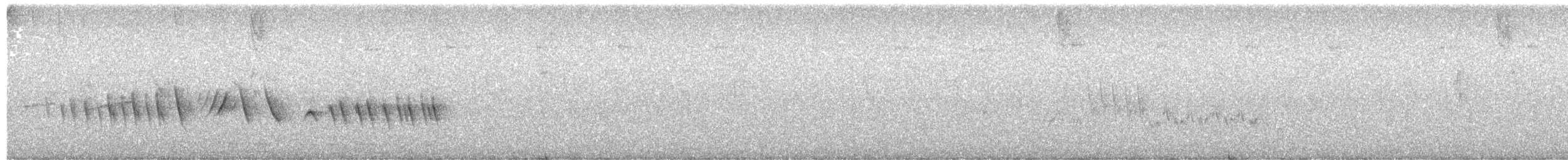 hvitkronefrøeter - ML613451536
