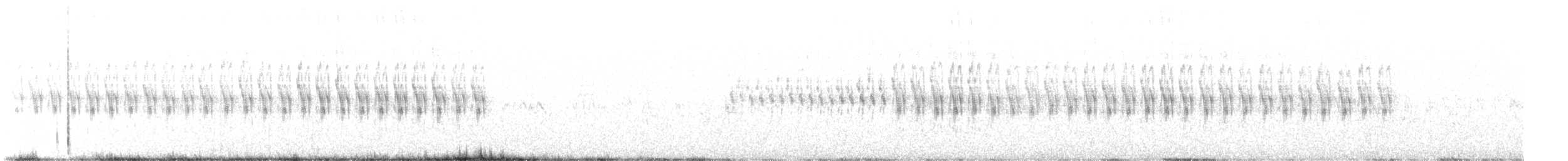 Шишкар білокрилий - ML613452735