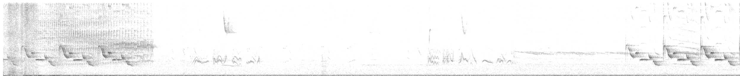 Каролинский крапивник - ML613453668