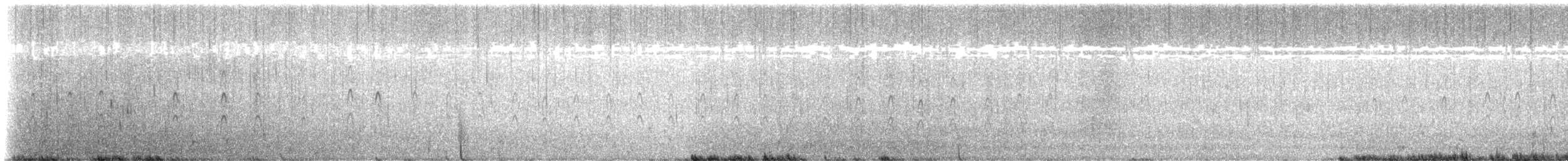 Antarktisseeschwalbe - ML613453975