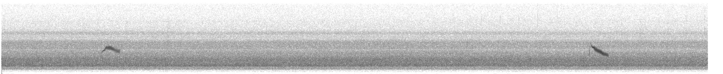 Gri Yanaklı Bülbül Ardıcı - ML613454265