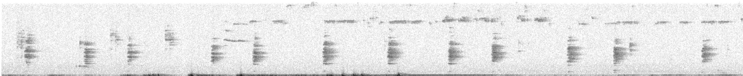 Clapper Rail - ML613454320