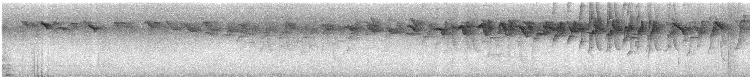 Карликовый колибри-отшельник - ML613455391