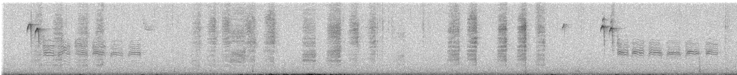 Carolina Wren - ML613455557