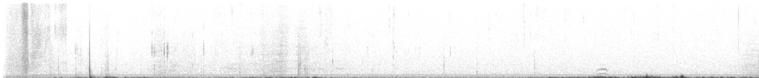 tanımsız kuzgun (Corvus sp.) - ML613458335