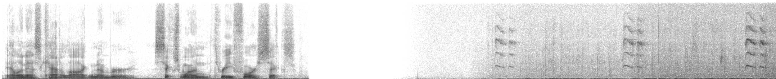 Brazilian Ruby - ML61346