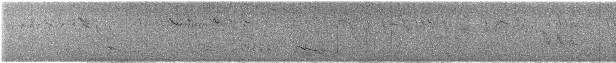 Белокрылый малюр (leuconotus) - ML613461778
