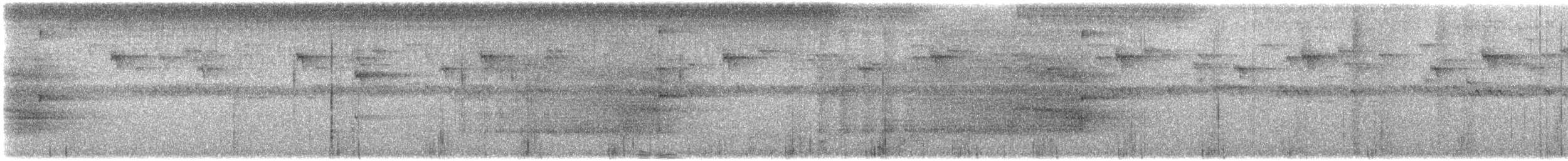 Сипуха темно-бура (підвид tenebricosa/arfaki) - ML613461921