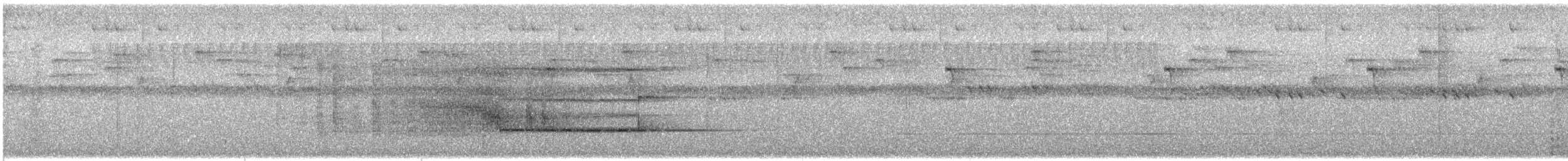 Сипуха темно-бура (підвид tenebricosa/arfaki) - ML613461922