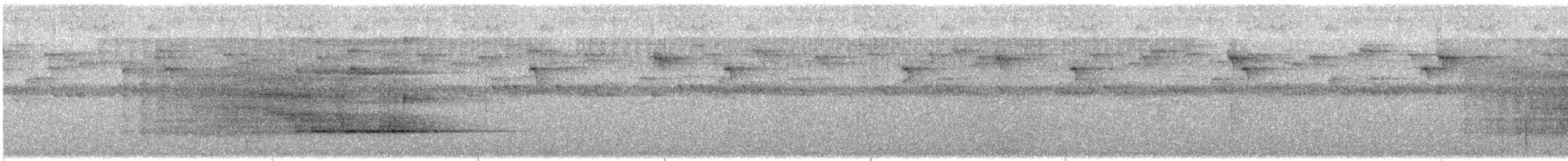 Сипуха темно-бура (підвид tenebricosa/arfaki) - ML613461923