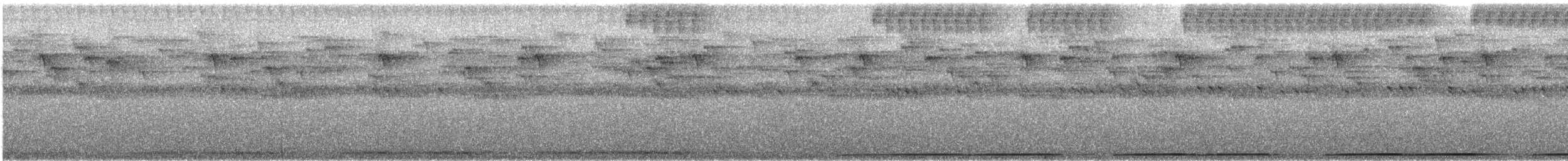 Білоніг новогвінейський (підвид plumiferus) - ML613461973