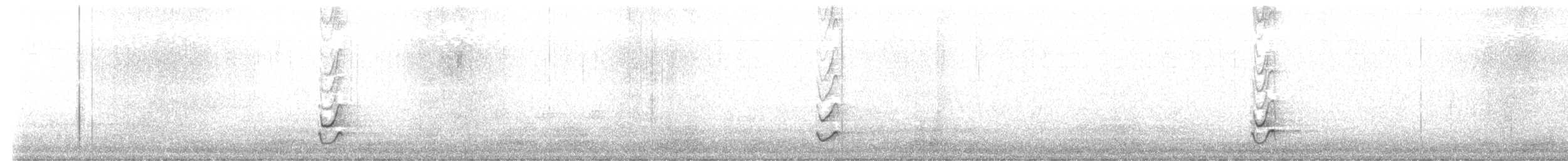 Langschnabel-Spottdrossel - ML613465085