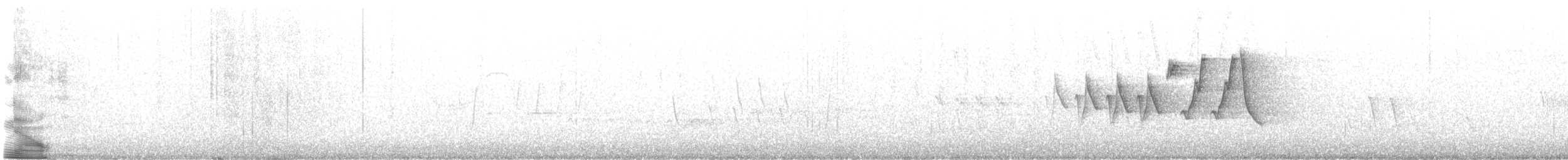 Chestnut-sided Warbler - ML613465655