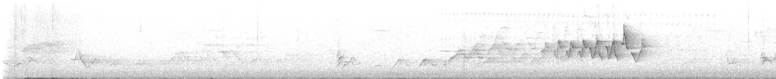 Chestnut-sided Warbler - ML613467197