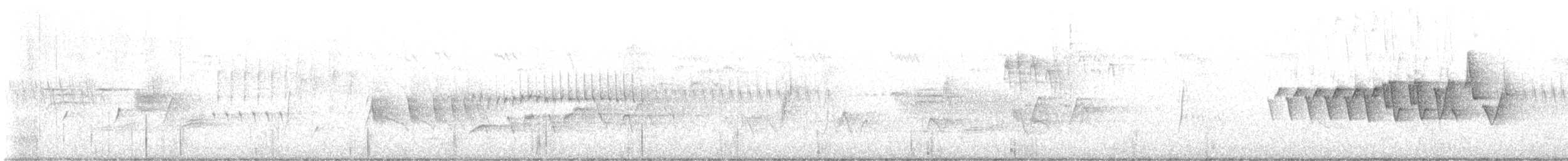 Chestnut-sided Warbler - ML613467332