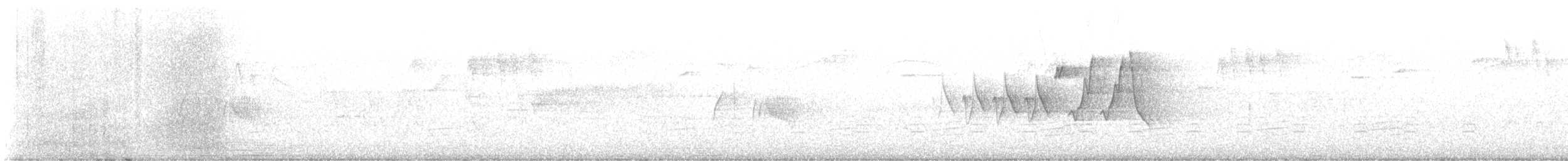 Chestnut-sided Warbler - ML613467382