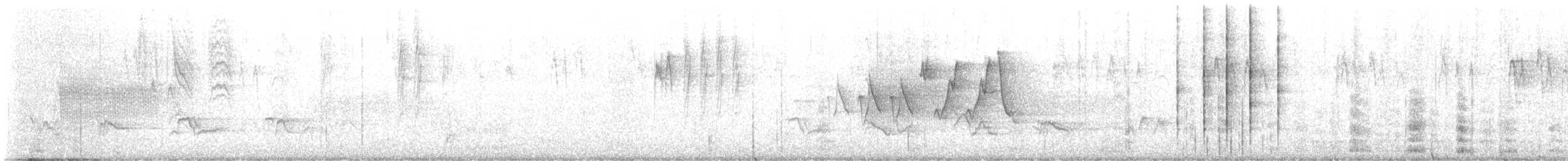 Chestnut-sided Warbler - ML613467434