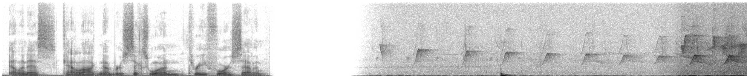 gråhodetreløper (sylviellus/olivaceus) - ML61347