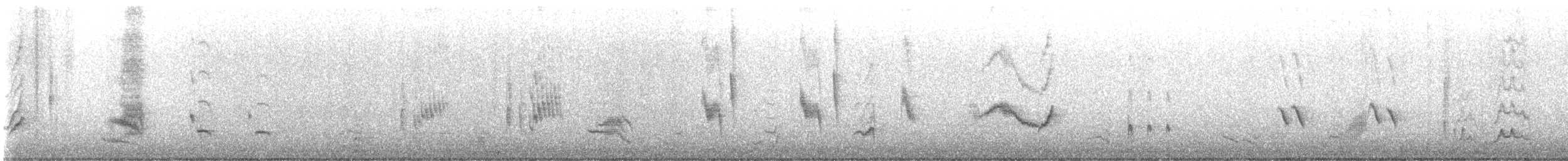 Длинноклювый пересмешник - ML613470235