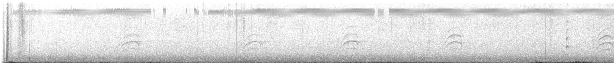 Büyük Kiskadi Tiranı - ML613470362