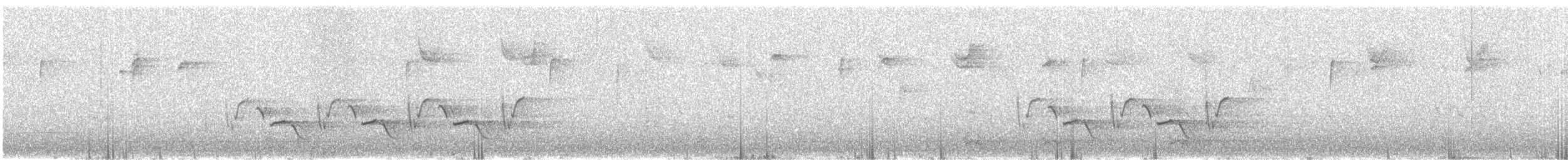 Поплітник каролінський - ML613476156