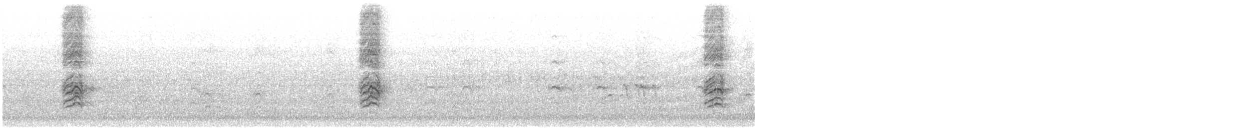 Büyük Kuyruklu Kiskal - ML613477696