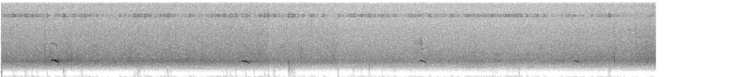 White-tailed Kite - ML613481953