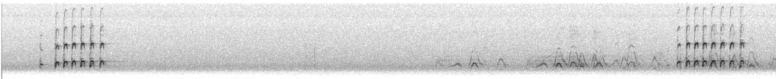 Whimbrel (Hudsonian) - ML613482025