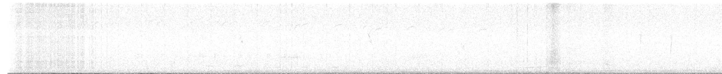 Western Grebe - ML613483080