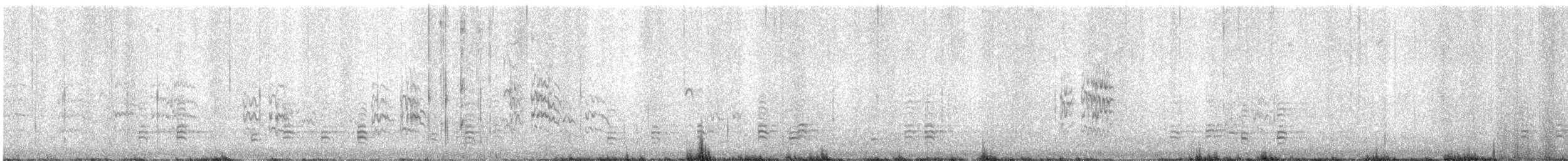 ibis laločnatý - ML613488396