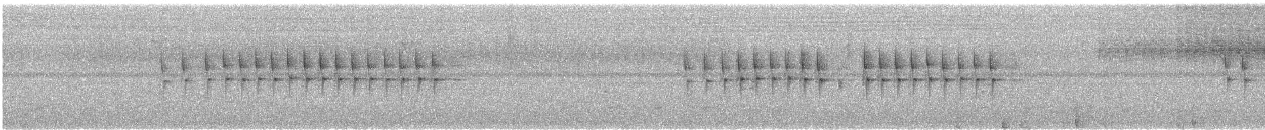 Prinia del Drakensberg - ML613493612