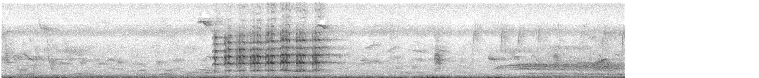 Miğferli Kızkuşu (novaehollandiae) - ML613497076