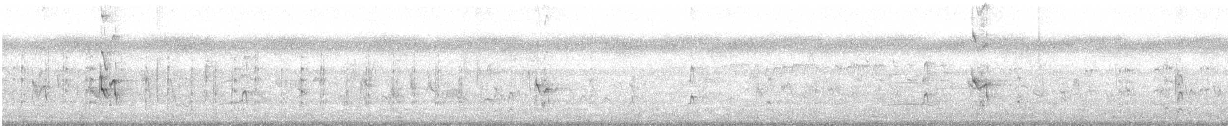 Australian Tern - ML613499631