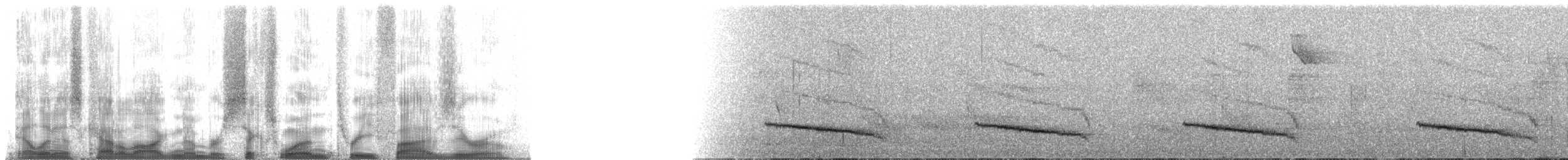 Tufted Antshrike - ML61350