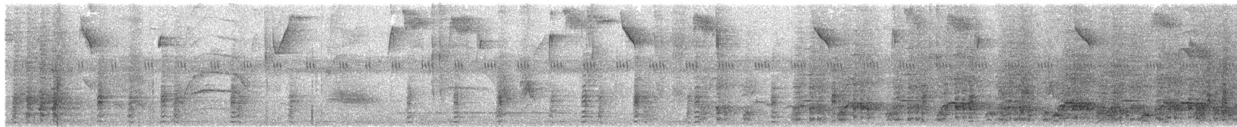 Чачалака строкатовола - ML613502482