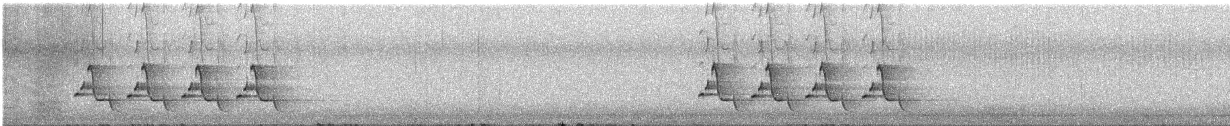 Поплітник каролінський - ML613503187