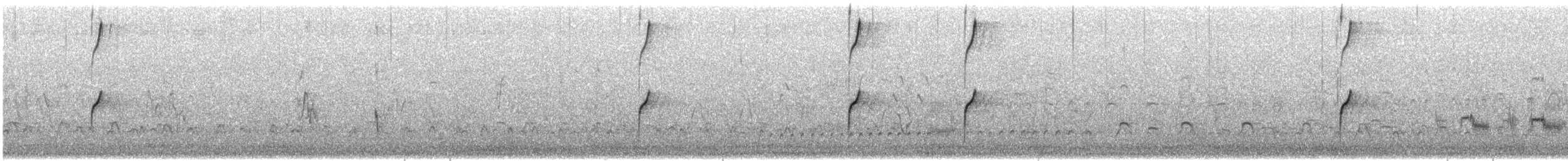 Пісочник маорійський (підвид aquilonius) - ML613503341