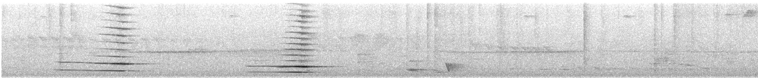 Glaucope de Wilson - ML613503630