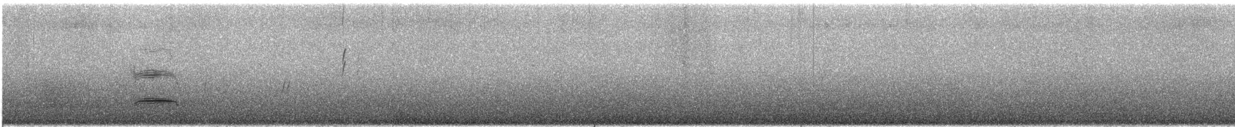 Yellow-eyed Penguin - ML613504059