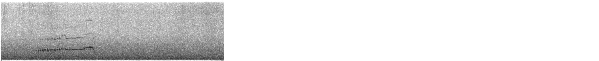 Yellow-eyed Penguin - ML613504060