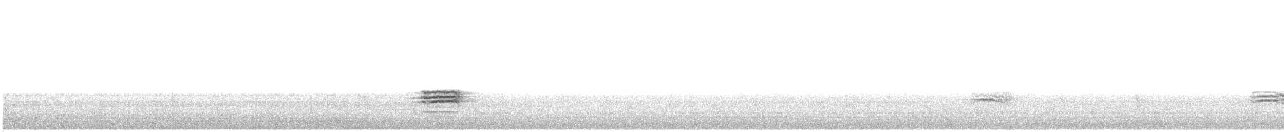 Гаїчка-пухляк звичайна [група montanus] - ML613505671