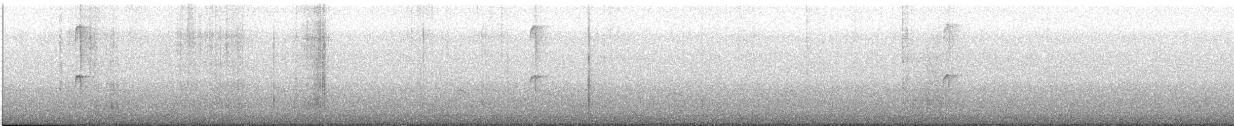 Colibri géant - ML613507047