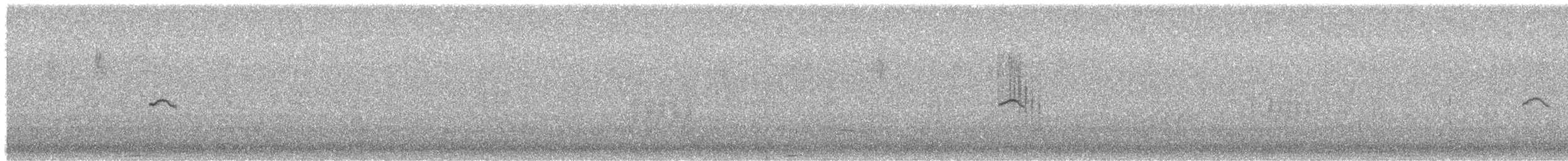 gransanger (tristis) (sibirgransanger) - ML613509122