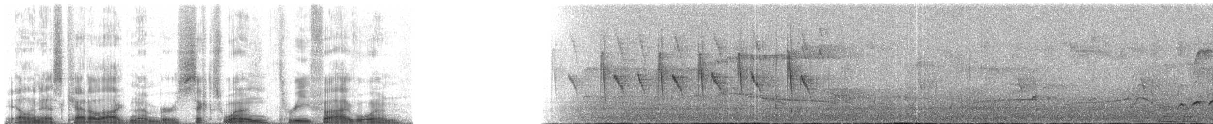 Streak-capped Antwren - ML61351