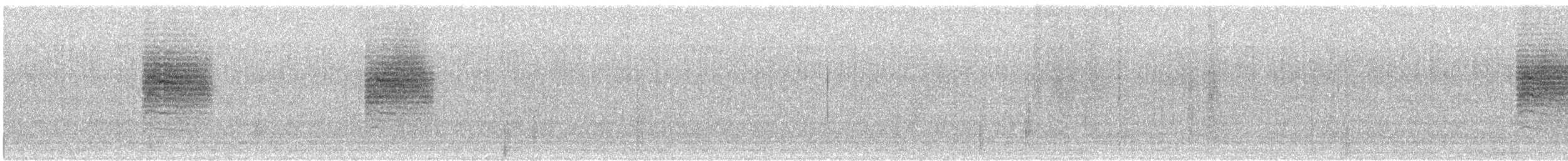 Black-tailed Gnatcatcher - ML613512846